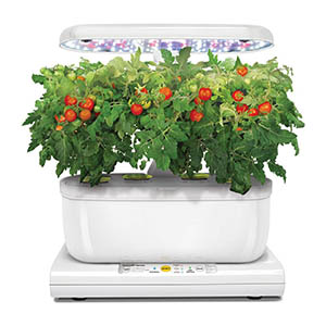 kit de cultivo interior tomates